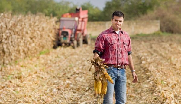 Deții terenuri agricole sau ferme de animale? Află ce subvenții se acordă în acest an și când vor începe plățile