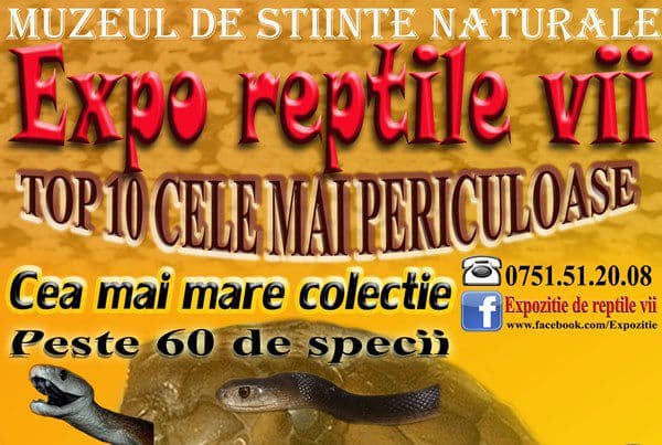 Expoziție de REPTILE VII la Muzeul de Științele Naturii Dorohoi. Vezi detalii!