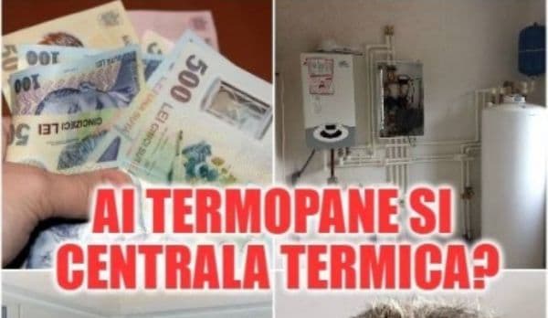 Legea care afectează proprietarii de apartamente cu geamuri termopan. Amenzile sunt uriașe