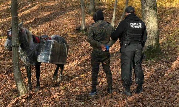 Țigări de contrabandă transportate cu calul! 3.000 pachete de țigări confiscate de polițiștii de frontieră dorohoieni