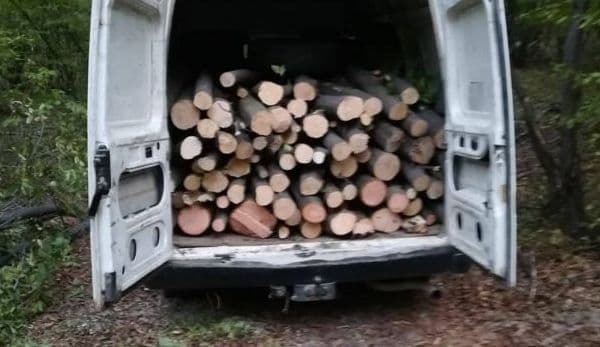 Mașină cu lemne deținute ilegal, abandonată pe un teren viran, la vederea poliţiștilor. Vezi ce a pățit șoferul!