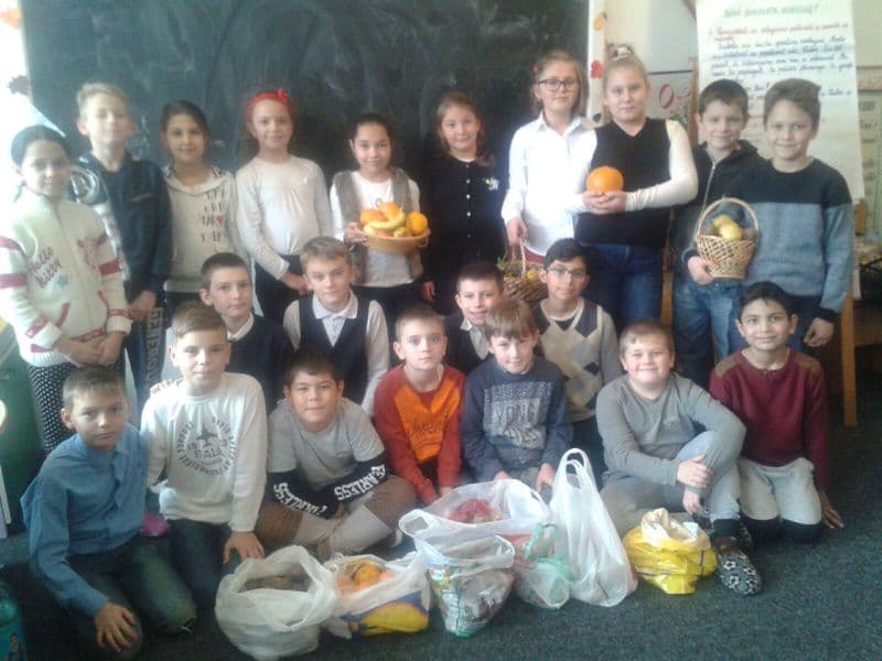 Spirit civic în săptămâna fructelor și legumelor donate la Școala Gimnazială „A. I. Cuza” Dorohoi - FOTO