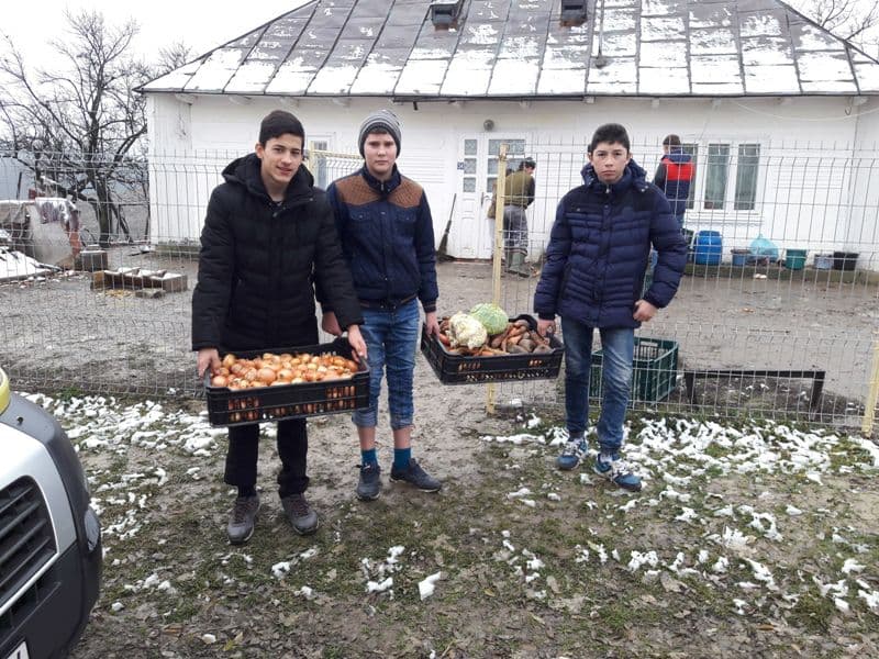 Săptămâna legumelor şi fructelor donate la Şcoala Gimnazială „Alecu Ivan Ghilia” - FOTO
