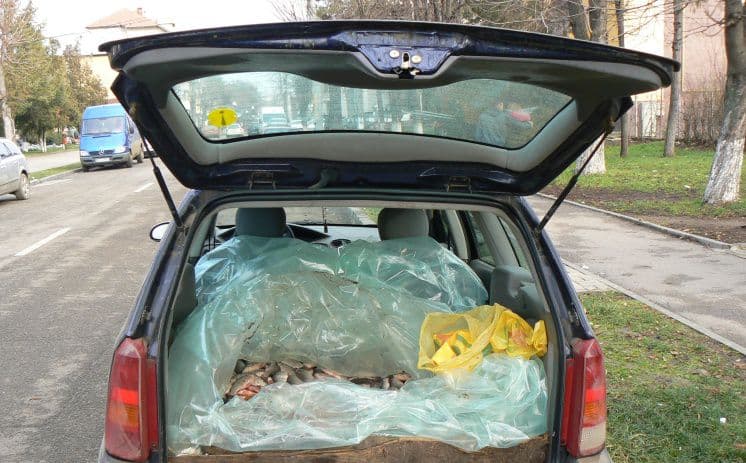 Peşte vândut fără documente legale, confiscat de jandarmi 