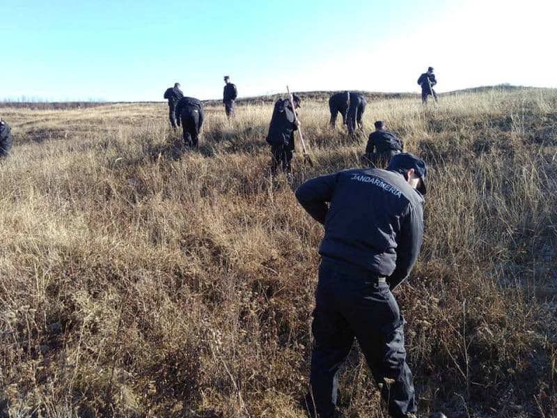 Jandarmii botoşăneni în campanie de împădurire. Natura poate exista fără oameni, dar oamenii nu pot supravieţui fără natură - FOTO