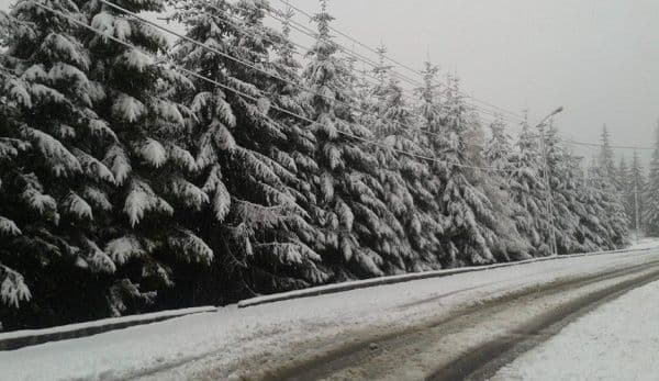 Cod GALBEN de ninsori abundente: vânt puternic, strat de zăpadă consistent