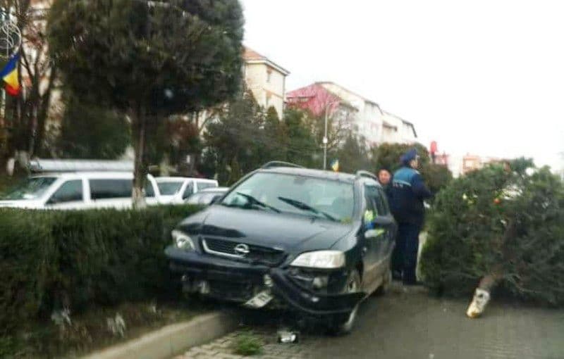 Accident pe Bulevardul Victoriei! A rupt un brad și s-a oprit pe contrasens după ce a scăpat mașina de sub control - FOTO