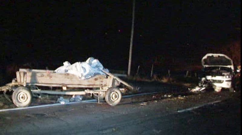Accident GRAV! Căruță lovită în plin de o mașină. Un copil de 13 ani ajuns la spital iar calul a murit