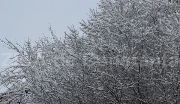 INFORMARE METEO. Din această noapte se strică vremea. Vin ninsorile iar vântul va prezenta intensificări