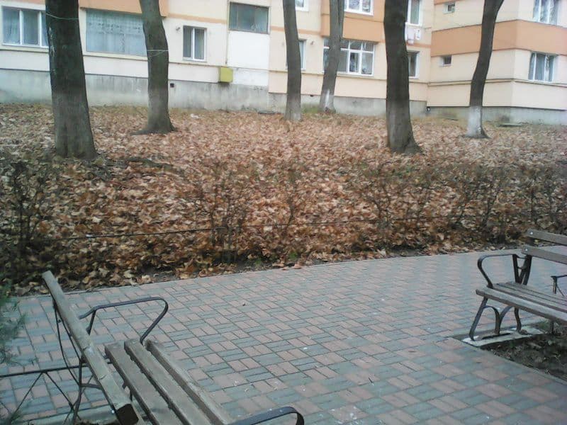 Primim la redacţie – „Peisaj dezolant la doi pași de Primărie” – FOTO
