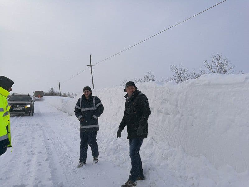 deszapezire judet vicepresedinte birta1
