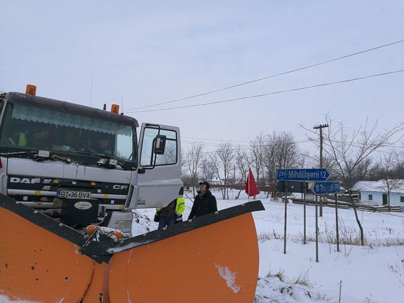 deszapezire judet vicepresedinte birta3