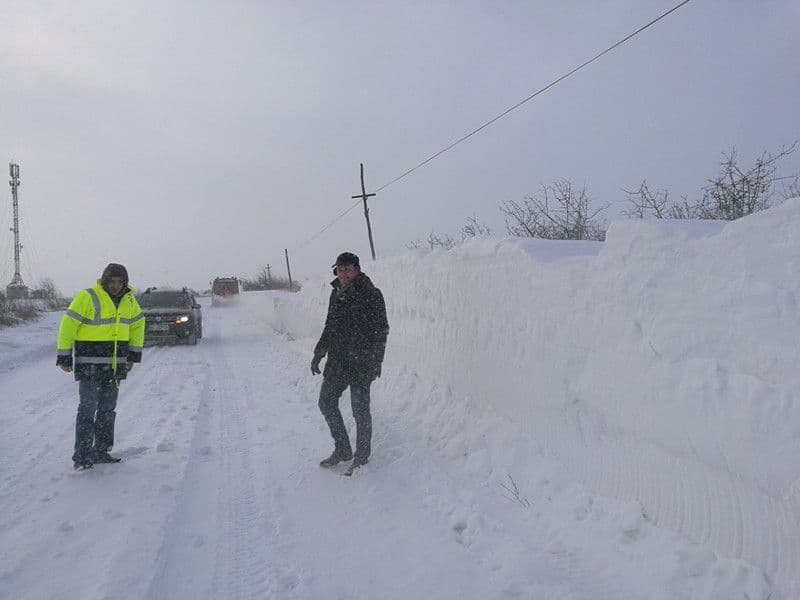 deszapezire judet vicepresedinte birta8