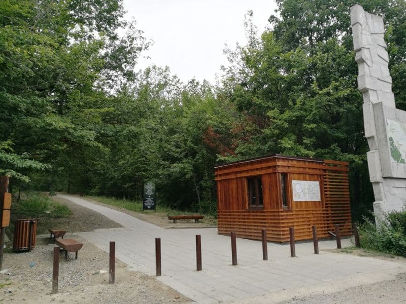 poze lacul cu nuferi2