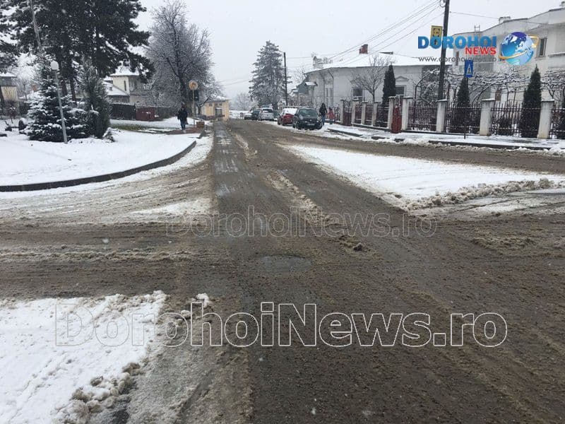 Prima zapada in Dorohoi_08