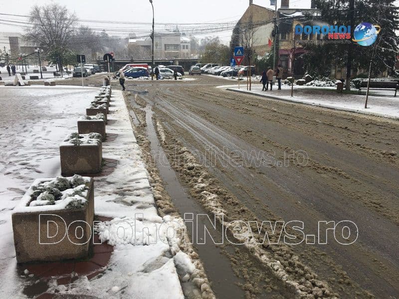 Prima zapada in Dorohoi_11