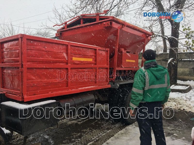 Prima zapada in Dorohoi_16