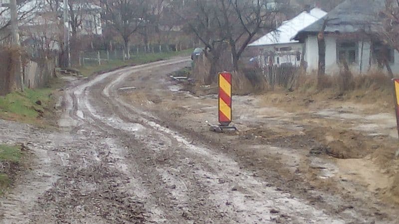 Dorohoi - Trestiana (2)