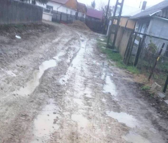 strada Hatman Sendrea Dorohoi (8)
