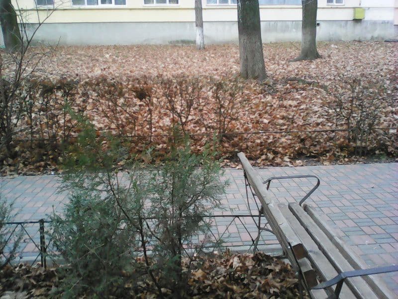 dorohoi 22 decembrie 2017 (2)