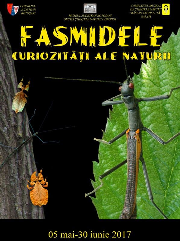 poster fasmide 2017
