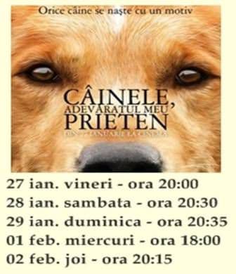 cainele