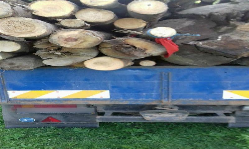 transport ilegal lemne