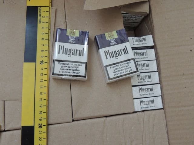 tigari confiscate (3)
