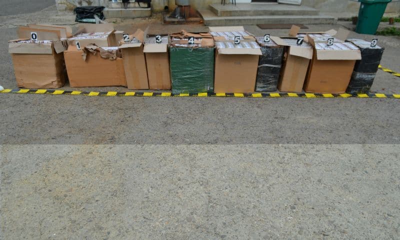 tigari de contrabanda (5)