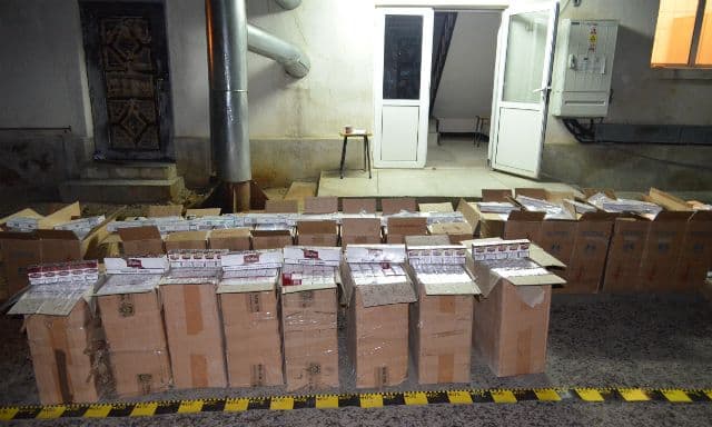 tigari contrabanda (3)