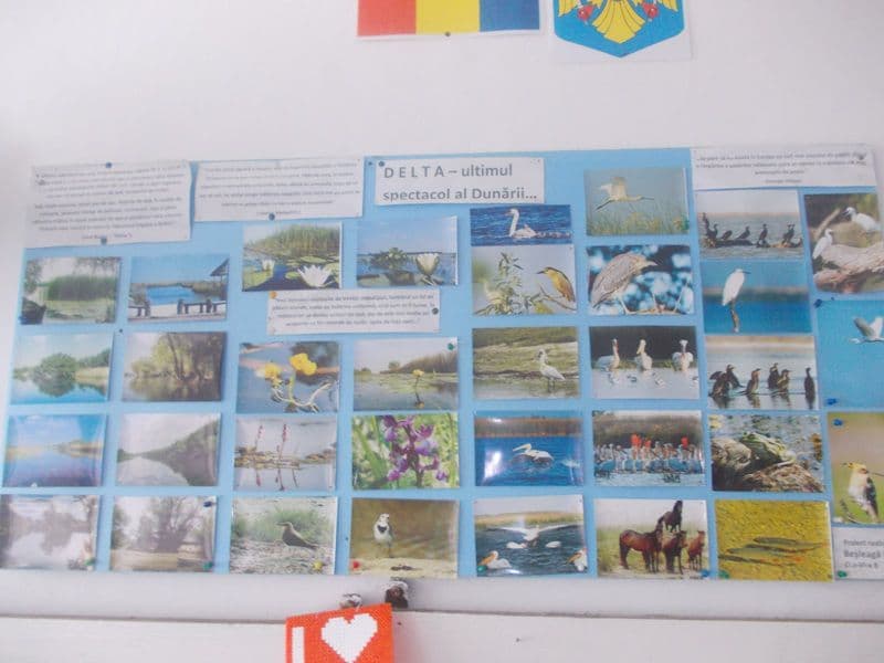 Ziua mondiala a zonelor umede (5)