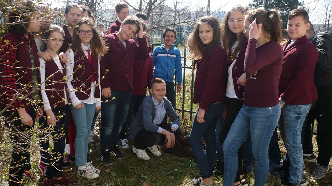 scoala a i cuza 001
