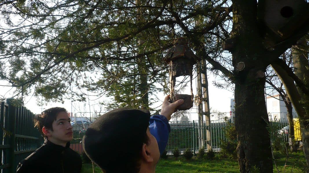 scoala a i cuza 009