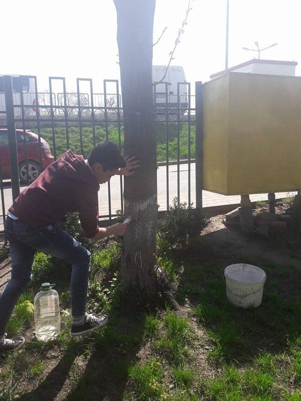 scoala a i cuza 013