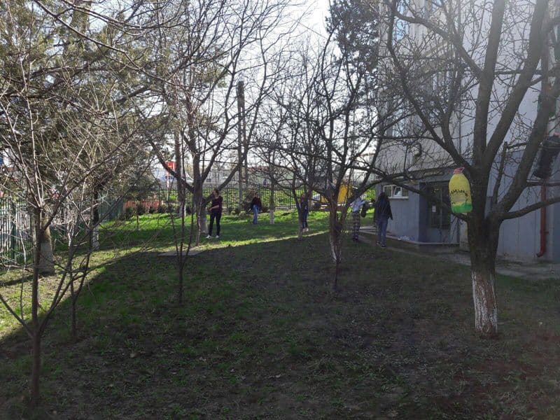 scoala a i cuza 015