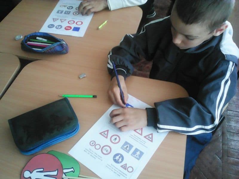 Ion Pillat Dorohoi 03