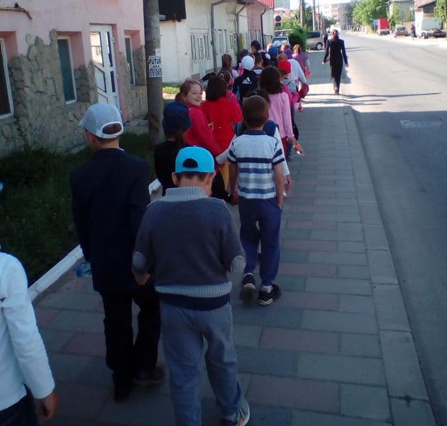 activitate D Romanescu Dorohoi 08