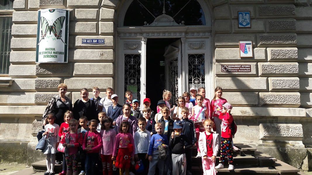 activitate D Romanescu Dorohoi 19