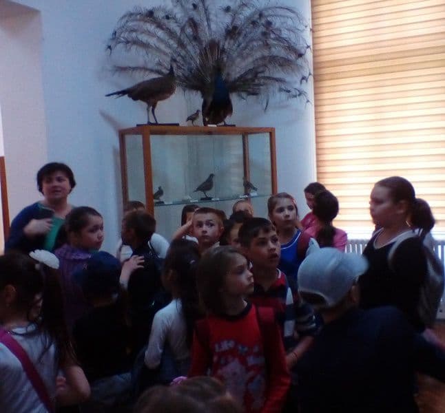 activitate D Romanescu Dorohoi 10