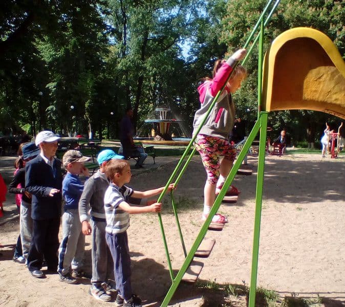 activitate D Romanescu Dorohoi 12