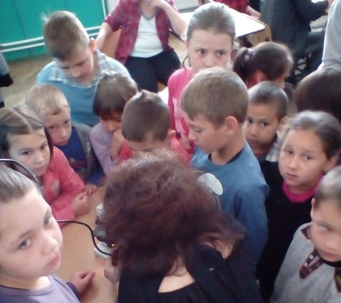 activitate D Romanescu Dorohoi 14