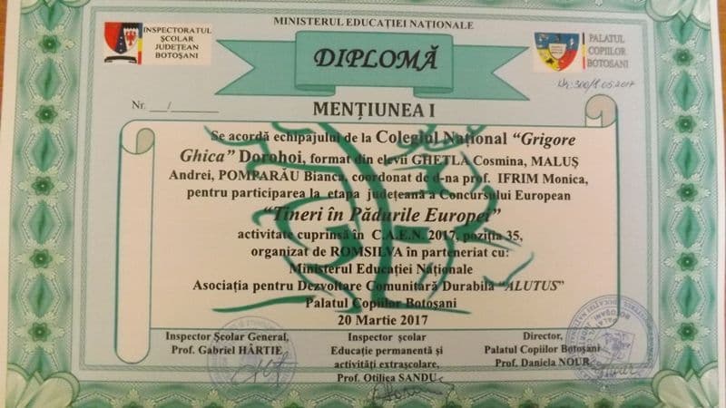 Concursul European Young People in European Forests (3)