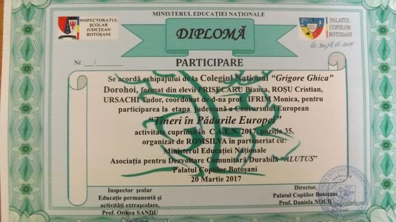 Concursul European Young People in European Forests (5)