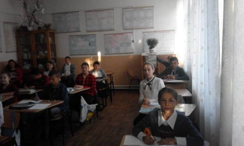 zel (4)