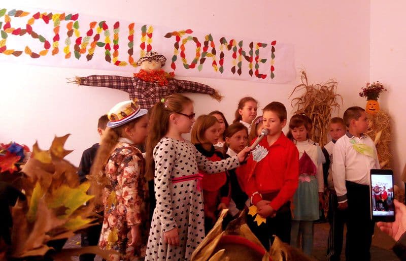 festivalul toamnei (4)