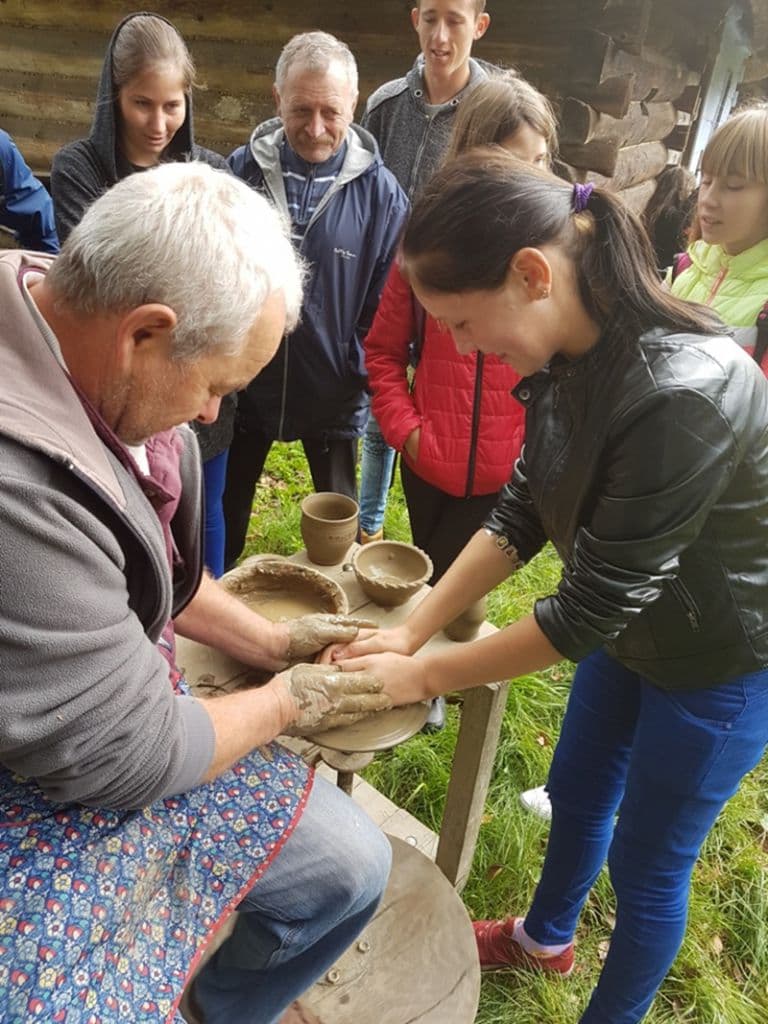 Ion Pillat Dorohoi 11