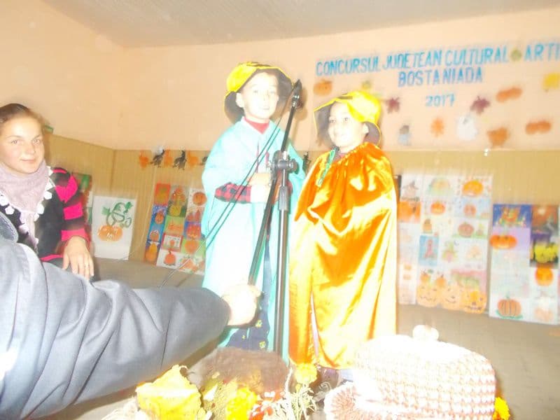 bostaniada 08