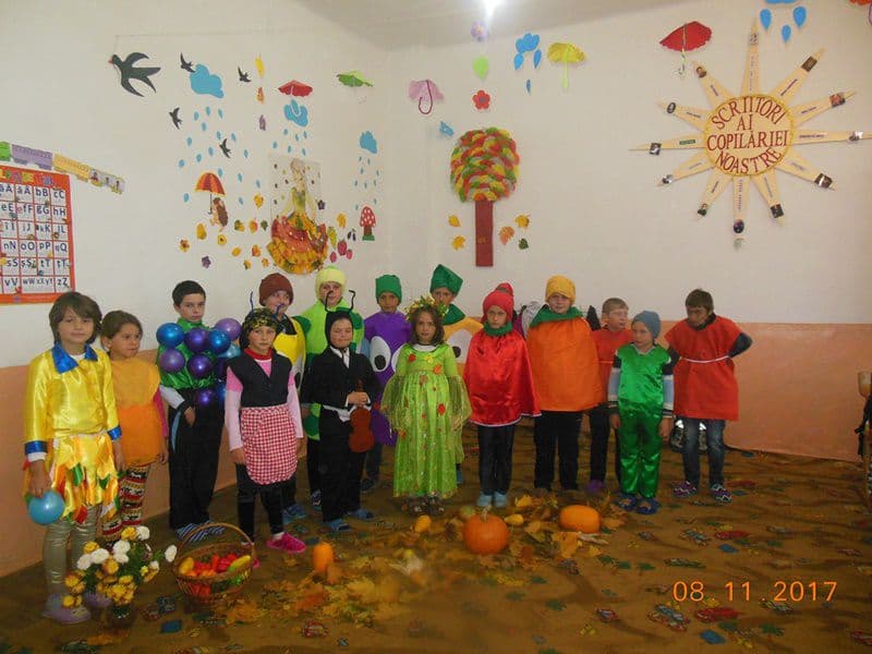 scoala arborea 11