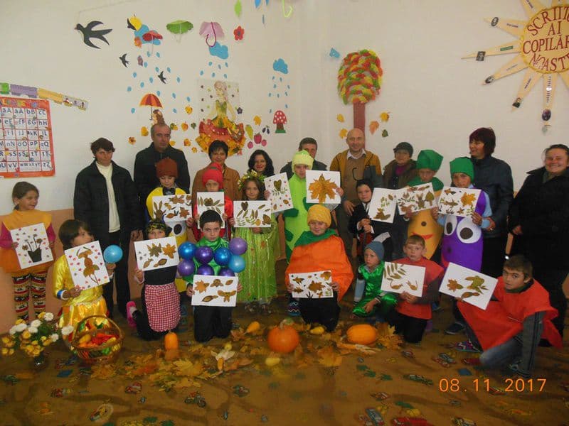 scoala arborea 12