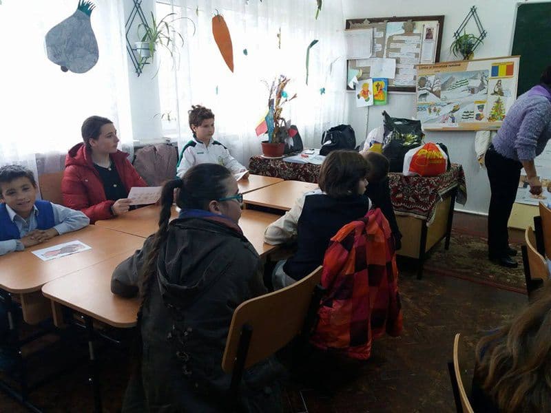 Ion Pillat Dorohoi 13